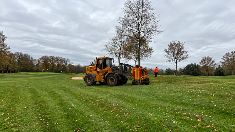 Jonge en middelgrote bomen