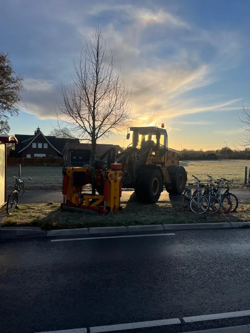 Hoe wij bomen verplaatsen